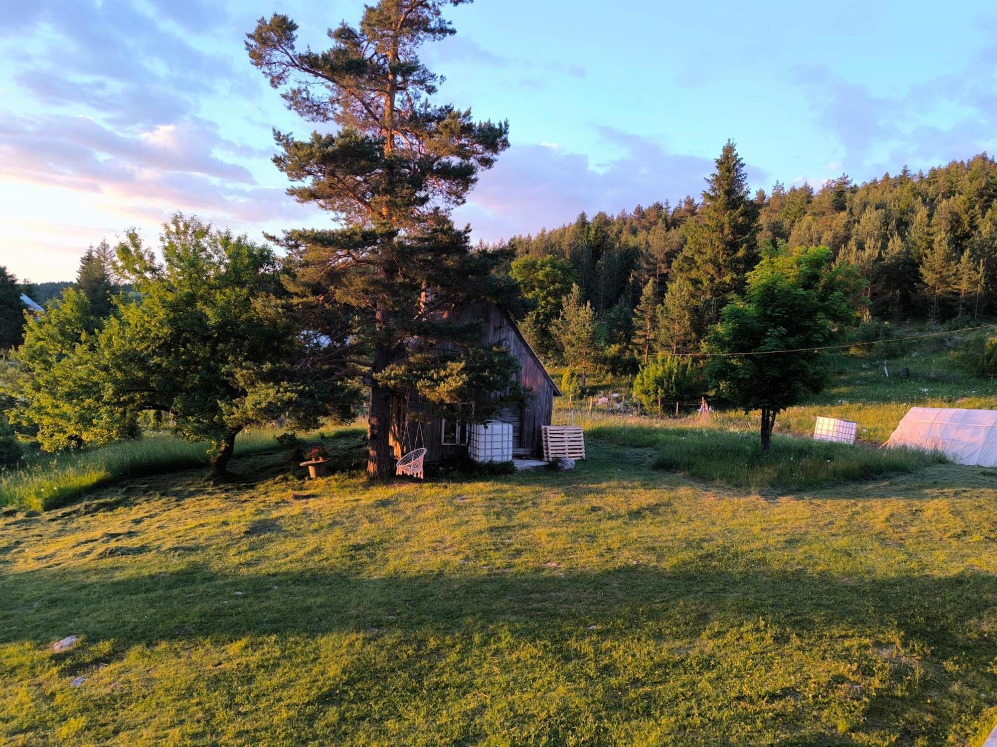 Vukov Konak - Wolf'S Lodge Žabljak Exterior foto